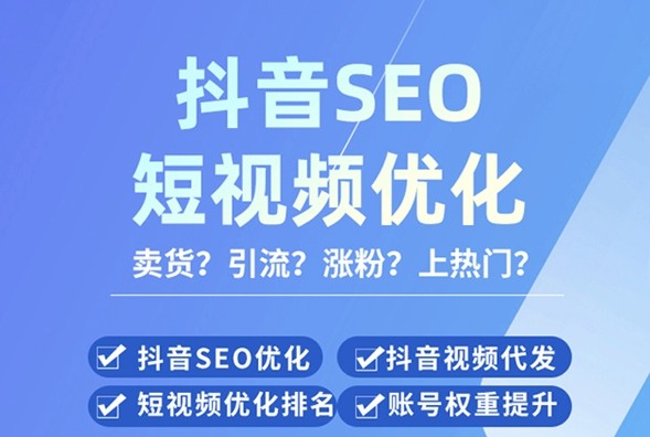 seo短视频网页入口引流.png